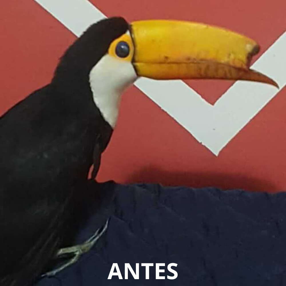 Imagem Empresa